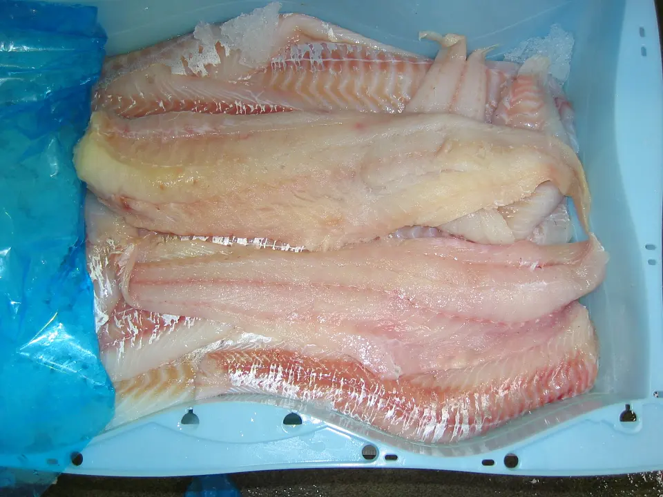 Frische Filets vom Kabeljau