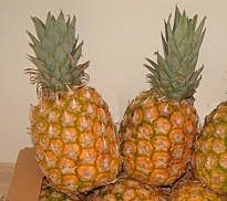 Ananas