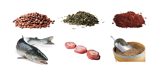 Kaffee-, Tee- und Kakaopulver; Fisch, Schaufel mit Futtermittel